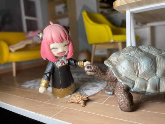 S.H.Figuarts  阿尼亚·福杰 -校服版本-