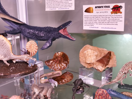 S.I.C. 匠魂 假面骑士BLACK 假面骑士BLACK Green 