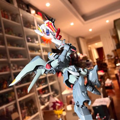 ROBOT魂＜机动战士系列＞ 机动战士高达SEED ZGMF-1017 金恩 剧中版