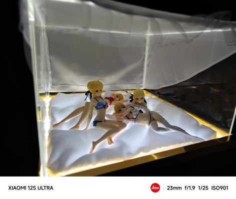 BEACH QUEENS 命运之夜 阿尔托莉雅 Lily