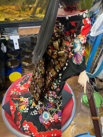 约会大作战 第四季 时崎狂三 -日本人偶-