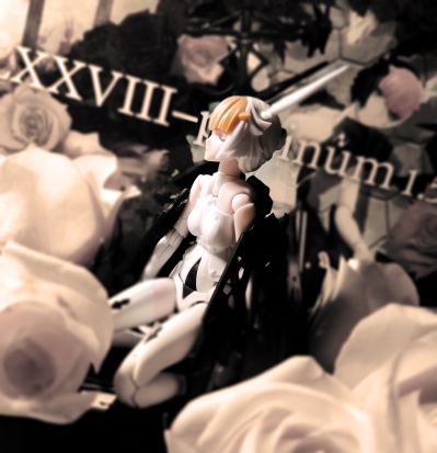 Chitocerium LXXVIII-platinum (prototype) 1.5版