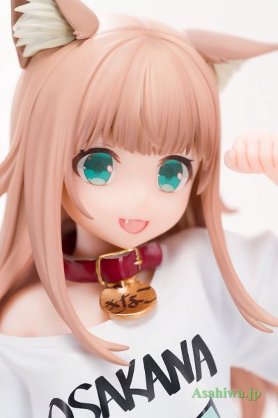 我家的猫是可爱女孩 黄豆粉 早安