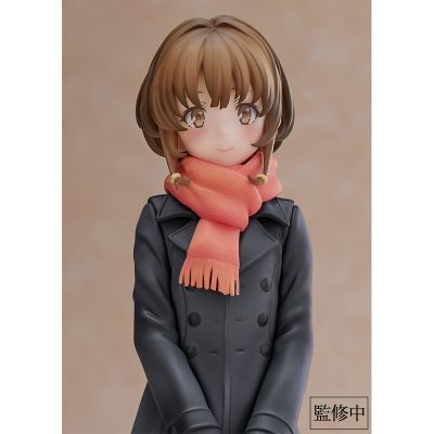 青春猪头少年不会梦到娇怜外出妹 梓川花枫