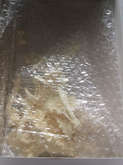 蔷薇少女  FIGURE FIGURE 真红 未涂装 BOX版