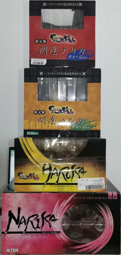 超昂闪忍遥 閃忍ナリカ 破损Ver. 