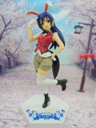 Special Figures LoveLive! School idol project 园田海未 これからのSomeday 