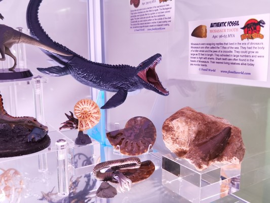 激造系列 哥斯拉（2019） 集换式玩具