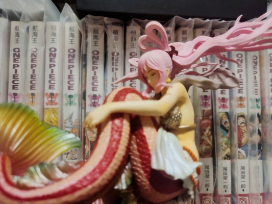 航海王 WCF-WT100纪念 尾田荣一郎作画 大海賊百景7-