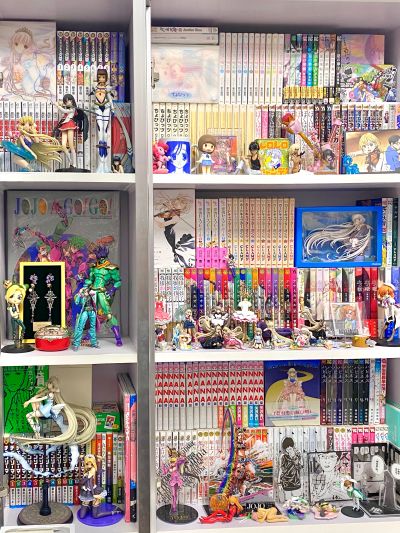 超像可动 JOJO的奇妙冒险 战斗潮流 莉莎莉莎