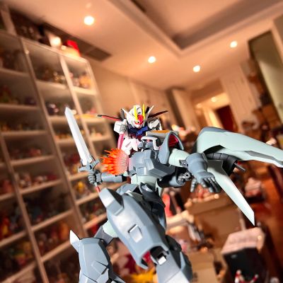 ROBOT魂＜机动战士系列＞ 机动战士高达SEED ZGMF-1017 金恩 剧中版