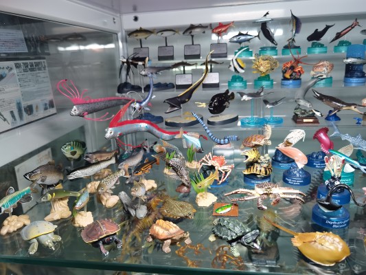 激造系列 哥斯拉（2019） 集换式玩具