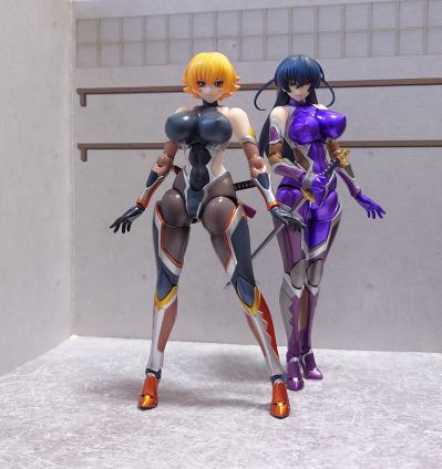 HENTAI ACTION 对魔忍阿沙姬３ 井河樱