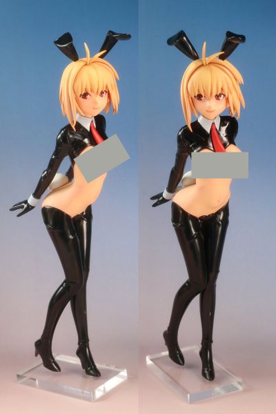 命运-冠位指定  爱尔奎特·布伦史坦德 逆兔女郎