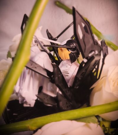 Chitocerium LXXVIII-platinum (prototype) 1.5版