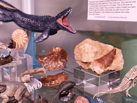 激造系列 哥斯拉（2019） 集换式玩具