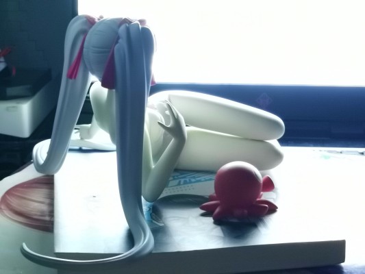 機動戦艦ナデシコ 星野ルリ 泳装ver. 