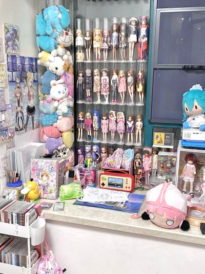 超像可动 JOJO的奇妙冒险 战斗潮流 莉莎莉莎