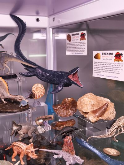 激造系列 哥斯拉（2019） 集换式玩具