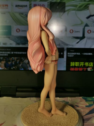 零之使魔 露易丝 白泳装