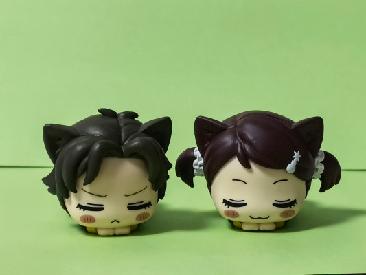 间谍过家家 动画版 午睡猫咪2