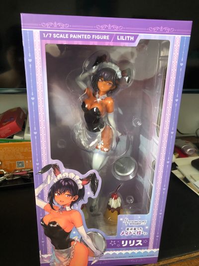 最近雇佣的女仆有点奇怪 莉莉丝