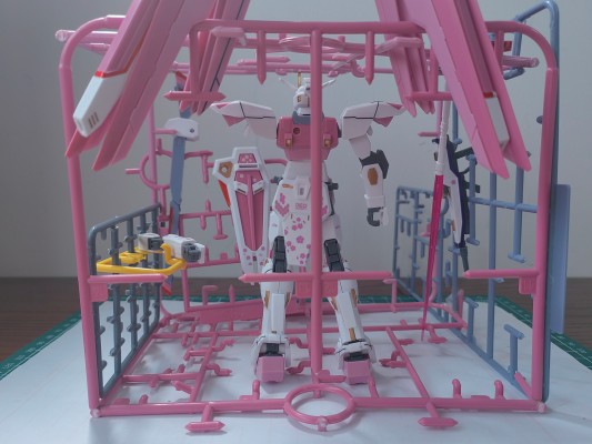 HGCE 机动战士高达SEED ZGMF-X10A 自由高达 新生版