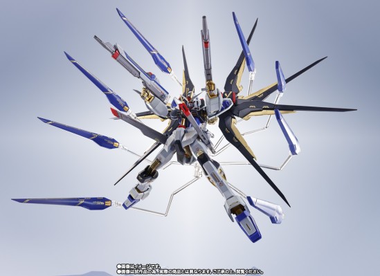 METAL ROBOT魂＜机动战士系列＞  强袭自由高达  SEED20周年纪念版