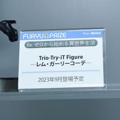 Trio-Try-iT Re：从零开始的异世界生活  雷姆 可爱穿搭