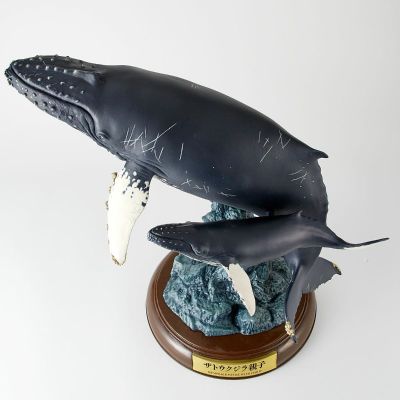 NATURE TALES 座头鲸亲子