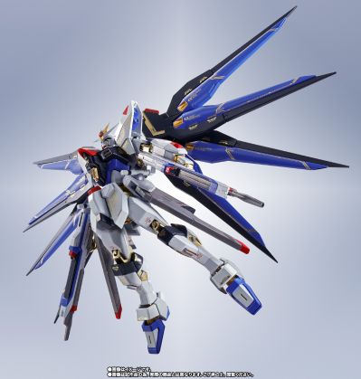 METAL ROBOT魂＜机动战士系列＞  强袭自由高达  SEED20周年纪念版
