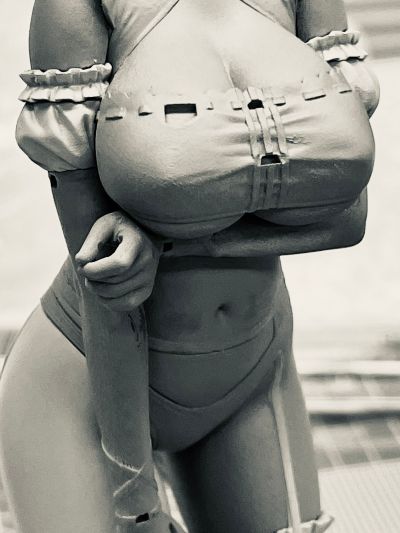 猫娘乐园 桂 赛车女郎