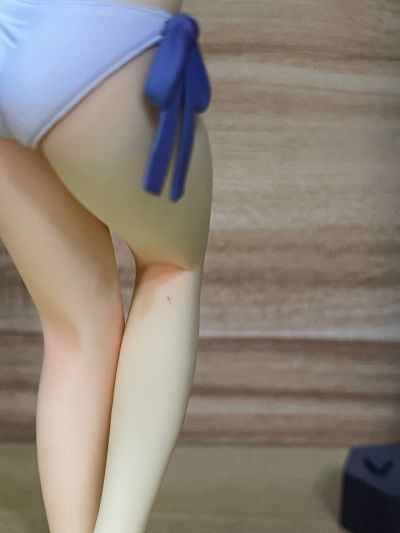 BEACH QUEENS Fate/hollow ataraxia SABER 