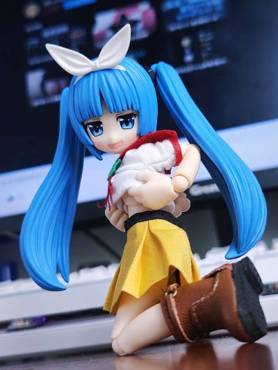 耳朵花园博物志 雪莉奴