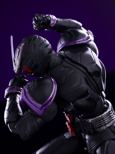 S.I.C. 假面骑士双骑 假面骑士王牌