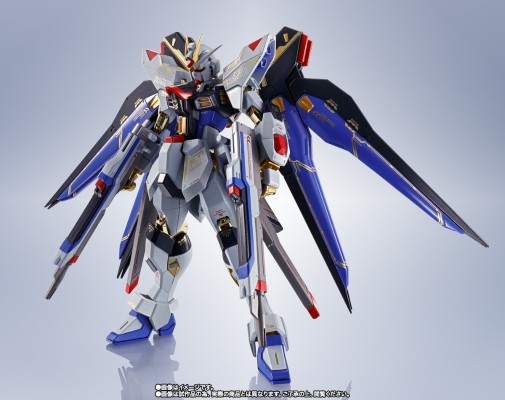METAL ROBOT魂＜机动战士系列＞  强袭自由高达  SEED20周年纪念版