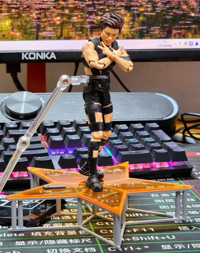 S.H.Figuarts T.M.Revolution