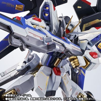 METAL ROBOT魂＜机动战士系列＞  强袭自由高达  SEED20周年纪念版