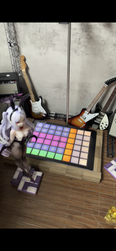 蔚蓝档案 妃咲 兔女郎Ver.