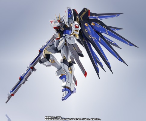 METAL ROBOT魂＜机动战士系列＞  强袭自由高达  SEED20周年纪念版