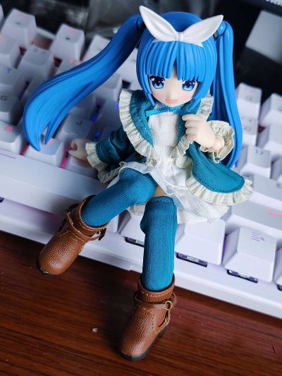 耳朵花园博物志 雪莉奴