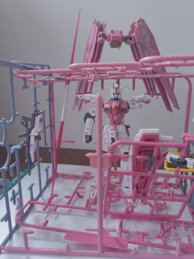 HGCE 机动战士高达SEED ZGMF-X10A 自由高达 新生版