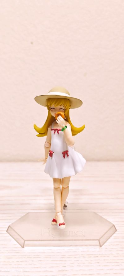 figma #239 伪物语 忍野忍