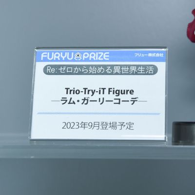 Trio-Try-iT Re：从零开始的异世界生活  雷姆 可爱穿搭