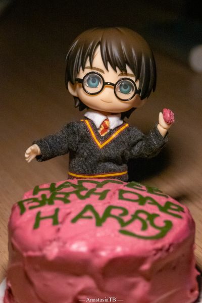 黏土人×DOLL 哈利波特 哈利波特