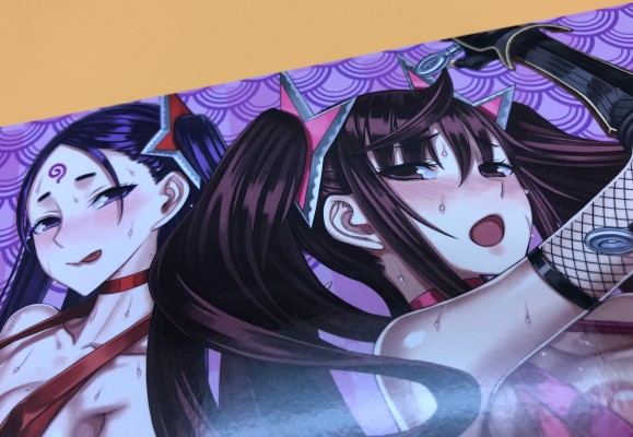 魔法少女22.0 忍者艾丽卡