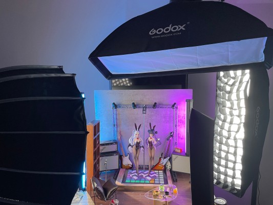 蔚蓝档案 妃咲 兔女郎Ver.