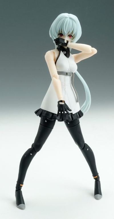 Figure-rise Standard  诺娃