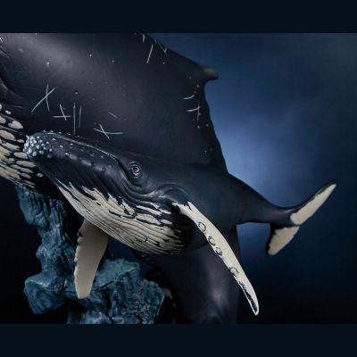 NATURE TALES 座头鲸亲子