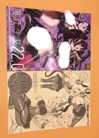 魔法少女22.0 忍者艾丽卡
